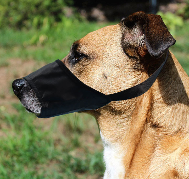 Anti-bite Anti-miseating Dog Mouth Cover Waterproof Bark Stopper - size and texture view | Dog Supplies at Purrfect Pet