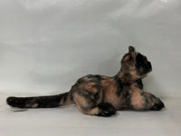 Plush Tortoiseshell Cat Shorthair Order to Make