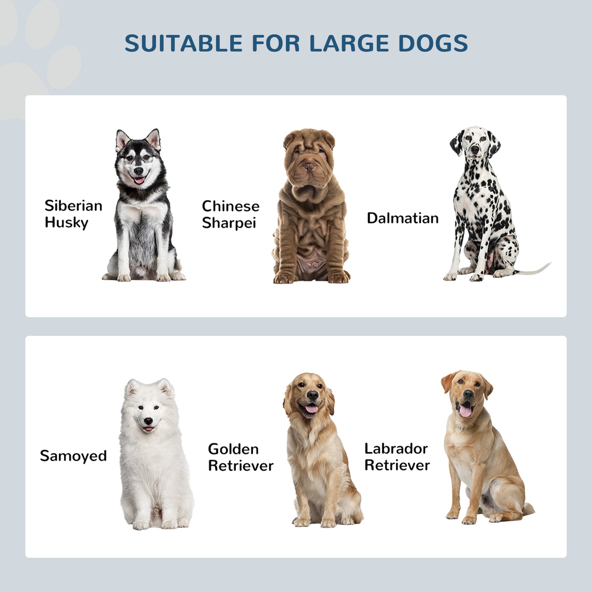 Large dog breeds suitability chart for elevated feeders: Husky, Sharpei, Dalmatian, Samoyed, and Retrievers.