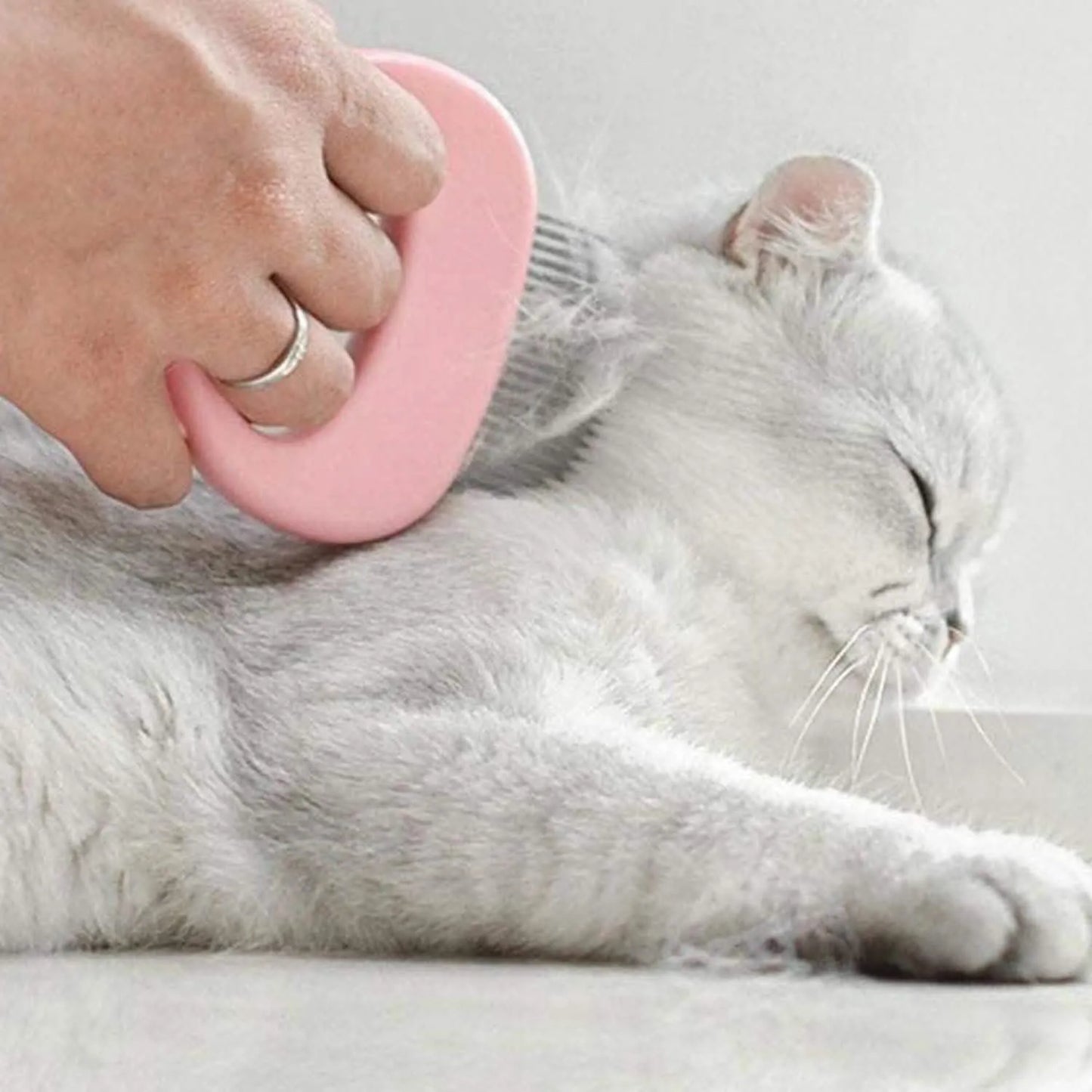 DailySale - 2-Pack: Pet Hair Removal And Massaging Shell Comb Brush For Grooming And Shedding - Pet Supplies