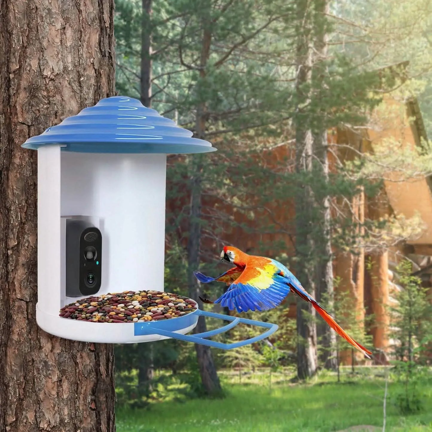 DailySale - Smart Bird Feeder with Solar Powered Camera 1080P HD AI Identify PIR - Pet Supplies