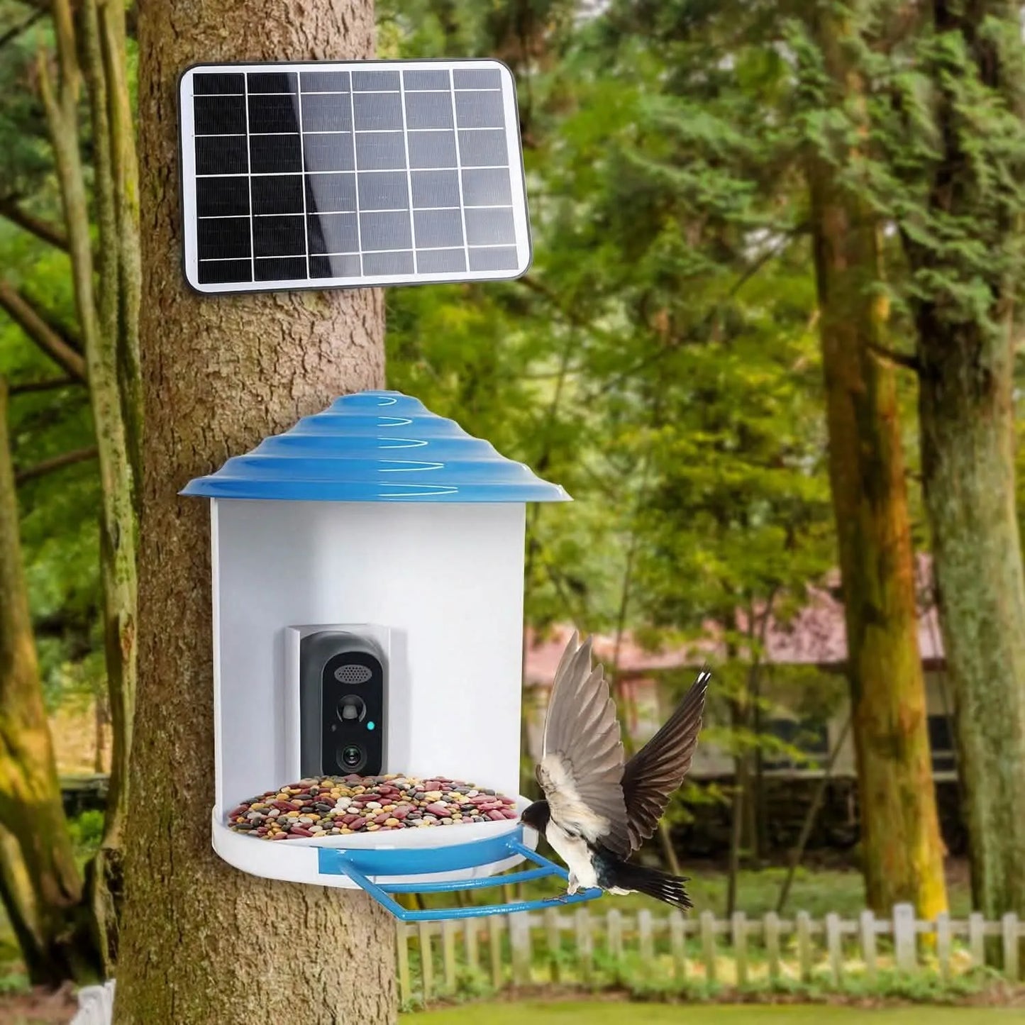 DailySale - Smart Bird Feeder with Solar Powered Camera 1080P HD AI Identify PIR - Pet Supplies