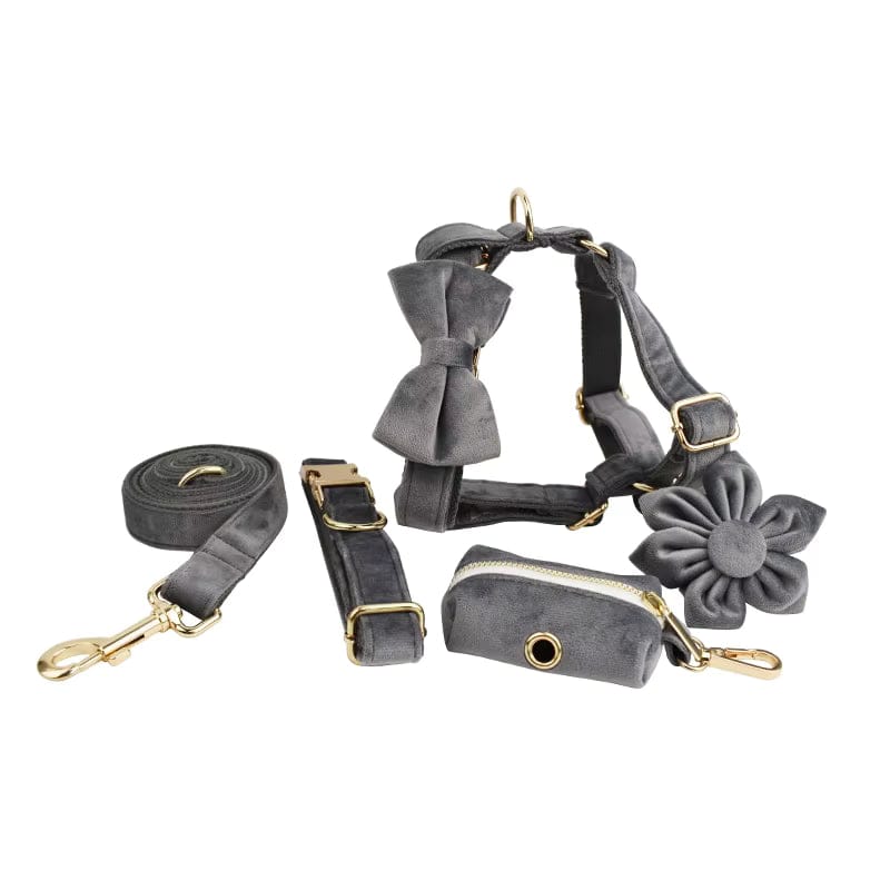 Dark grey velvet pet harness set with gold hardware, leash, collar, bag dispenser, bowtie, and flower accessory.