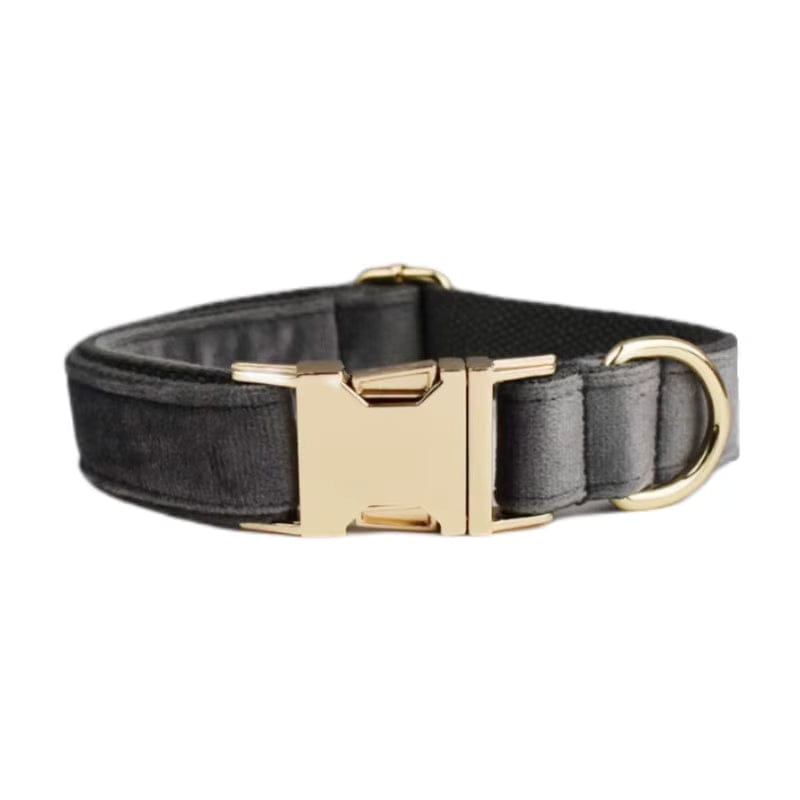 Dark grey velvet pet collar with a polished gold metal buckle and D-ring by Purrfect Pet Kingdom.