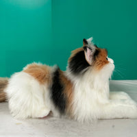 Plush Calico Cat Order to Make