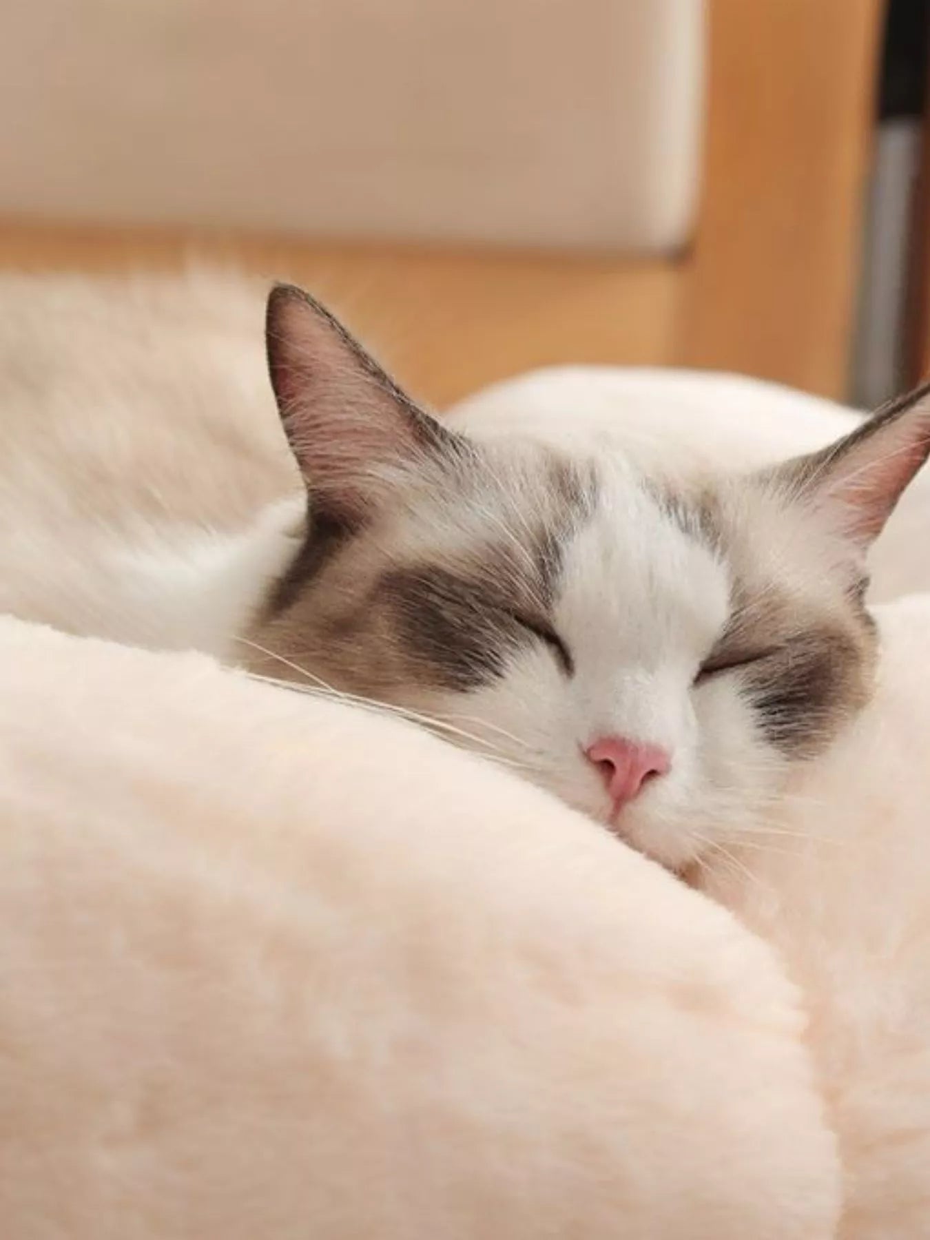 Pet Bed - Round Plush Nest with Soft Integrated Cloud Pillow