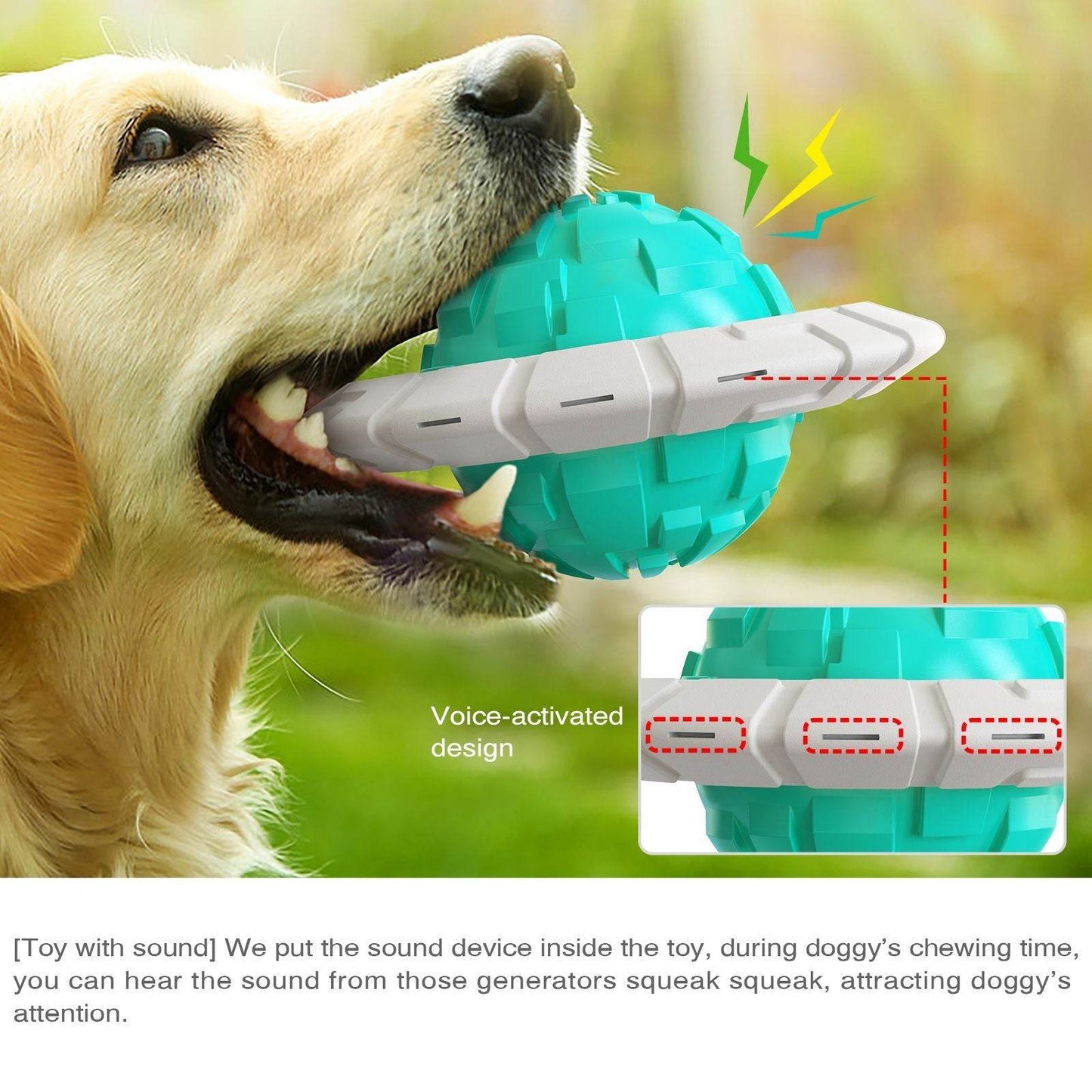 Purrfect Pet Kingdom Dental Care Toys for Dogs Purrfect Pet Kingdom