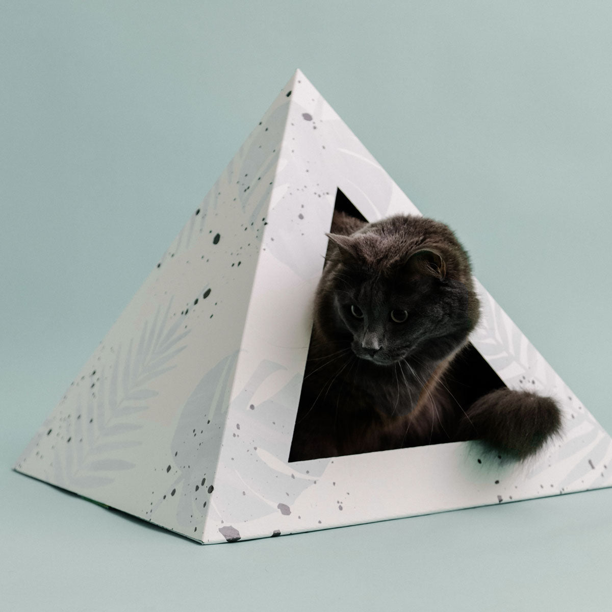 'Oasis' Cardboard Cat Pyramid - KittyKardboard