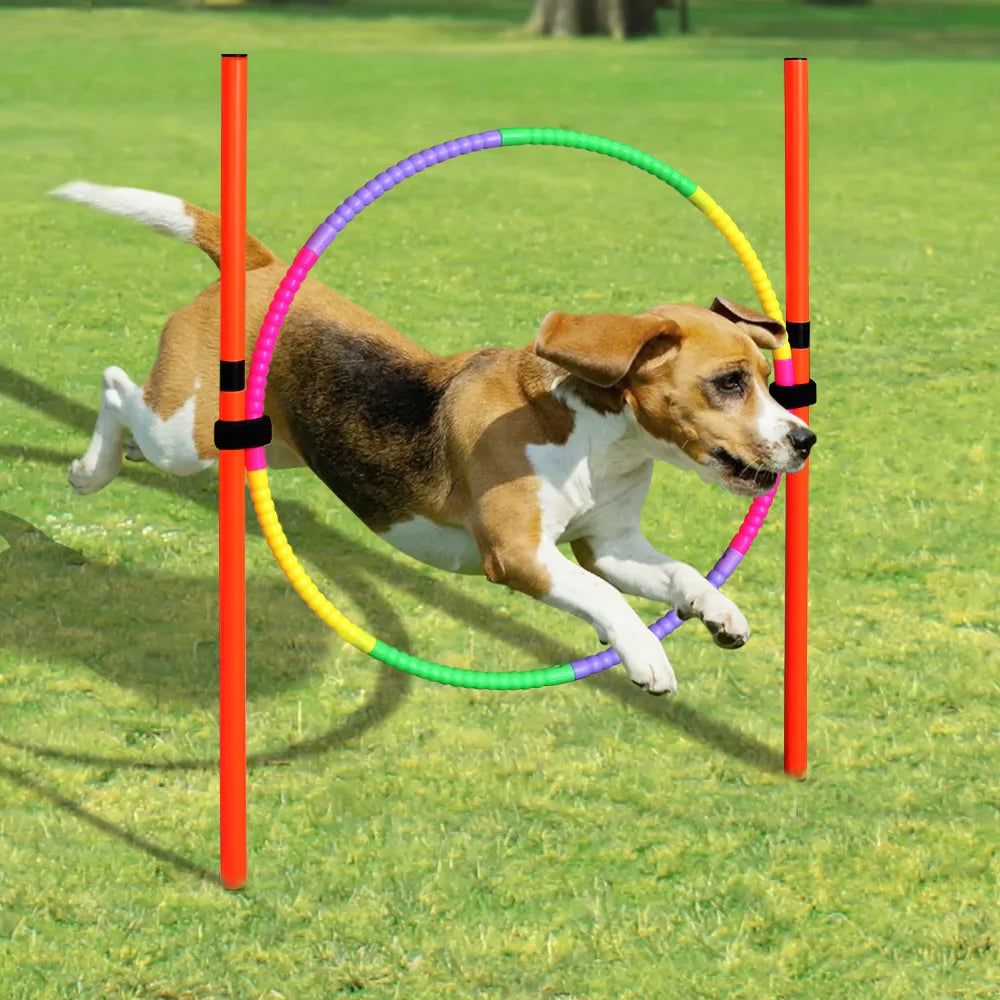 dsers Dog Agility Training Set with Adjustable Obstacles - pet exercise equip - THRIXINE