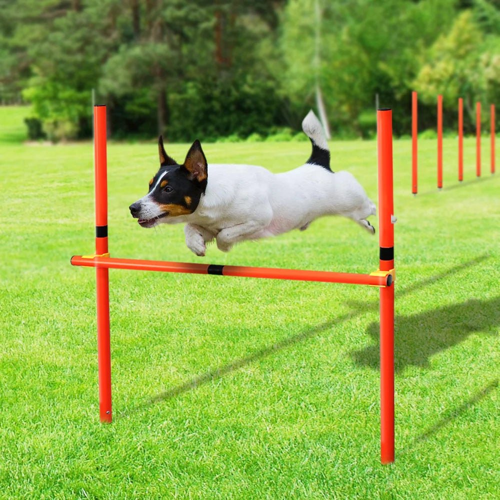 dsers Dog Agility Training Set with Adjustable Obstacles - pet exercise equip - THRIXINE