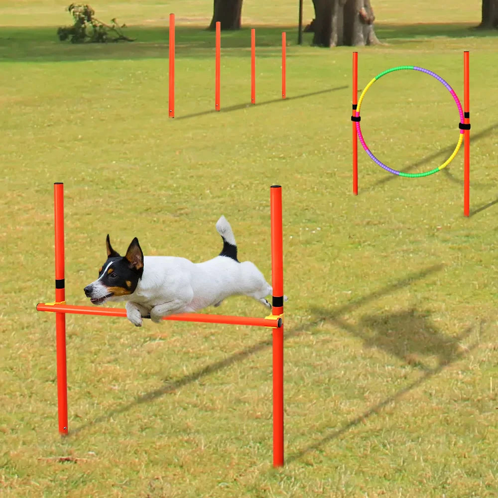 dsers Dog Agility Training Set with Adjustable Obstacles - pet exercise equip - THRIXINE