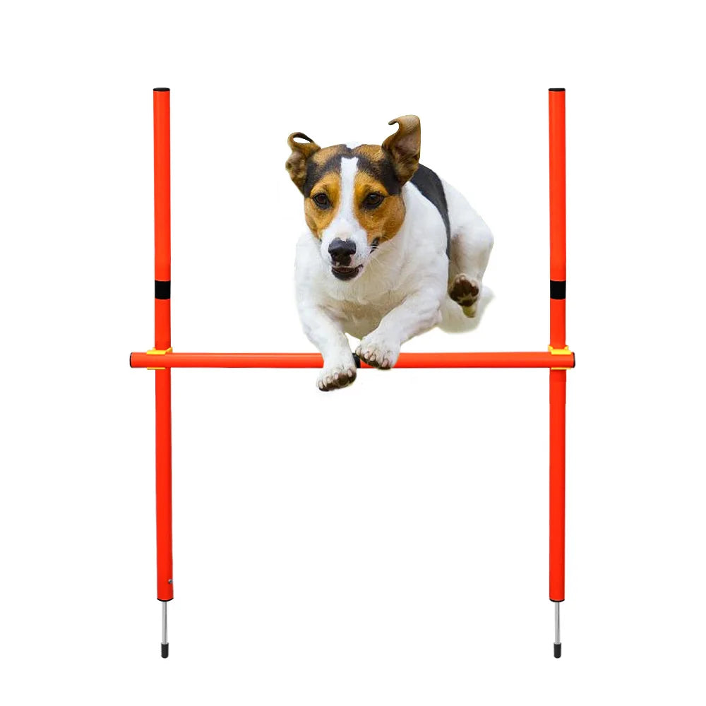 dsers Dog Agility Training Set with Adjustable Obstacles - pet exercise equip - THRIXINE