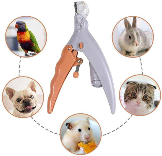 Purrfect Pet Kingdom Dog and Cat Nail Clippers with Light Suction clamp Purrfect Pet Kingdom