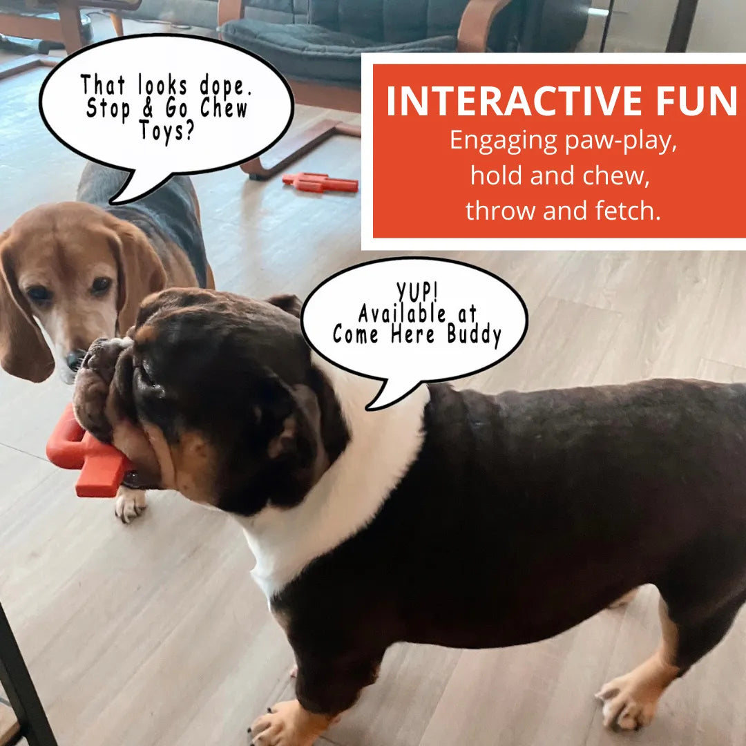 Durable Come Here Buddy Dog Chew Toy in bright blue, perfect for playful dogs, priced at $17.99.