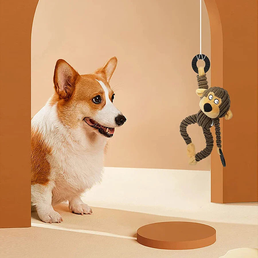 Corgi puppy playing with Tail Chasers dog chew toy for teething puppies featuring a fun monkey design