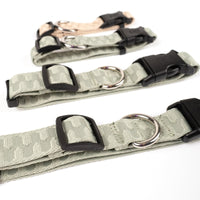 Dog Collar- Checkered Wave