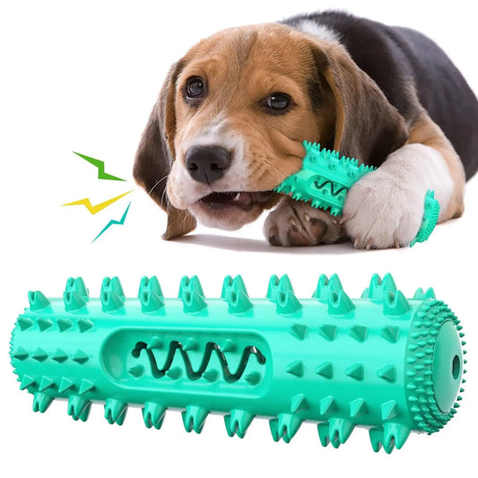 Puppy chewing on a turquoise dog dental toy with spikes for durable teeth cleaning