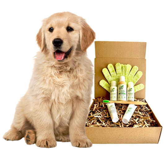 ReNewedPet Dog Grooming Kit for Home with Shampoo, Conditioner, and Grooming Gloves next to a happy golden retriever