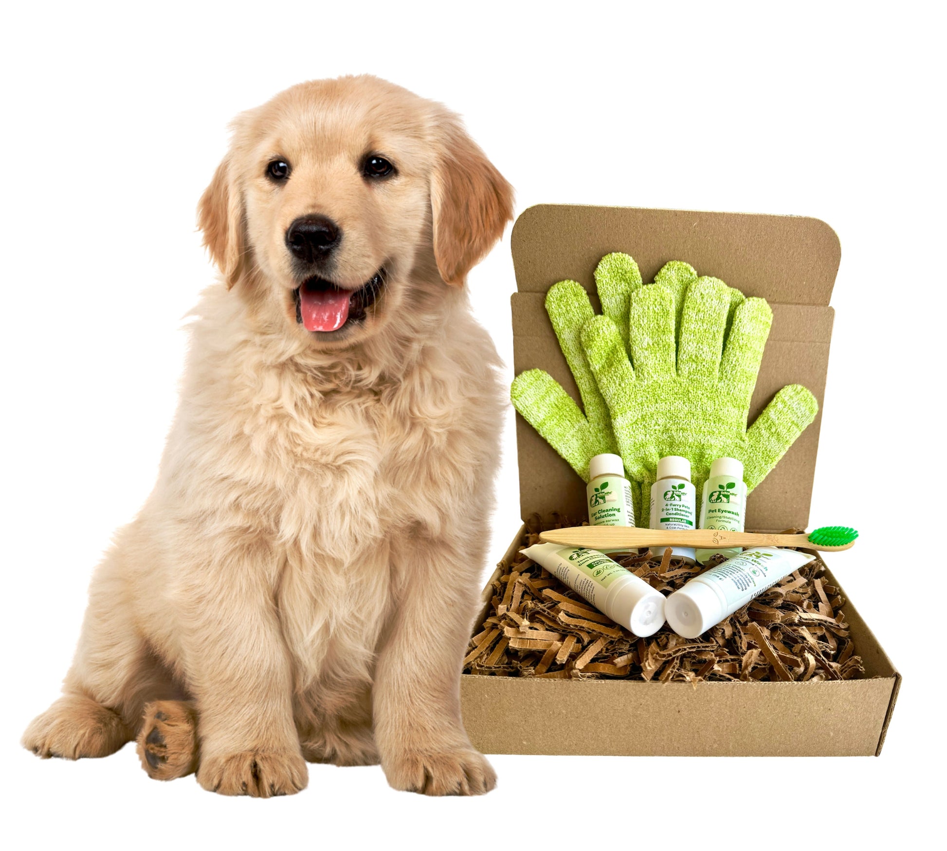 ReNewedPet dog grooming kit for home featuring puppy shampoo, conditioner, and grooming gloves