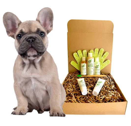 ReNewedPet dog grooming kit with shampoo, conditioner, and grooming gloves for healthy pet care