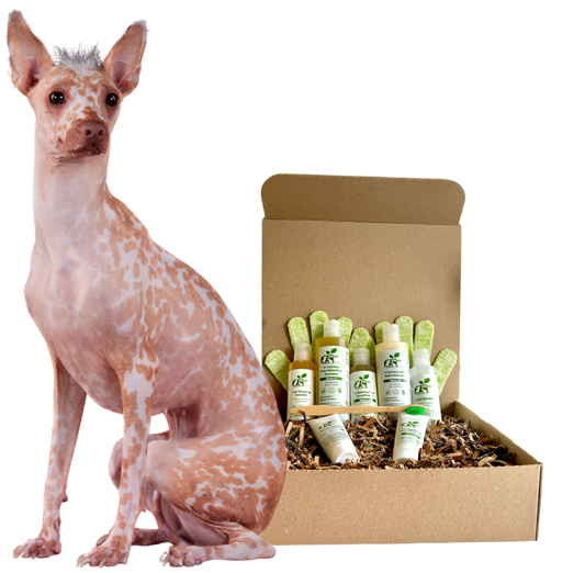 ReNewedPet Pet Conditioner Bundle, ideal dog grooming products for sensitive skin with soothing ingredients
