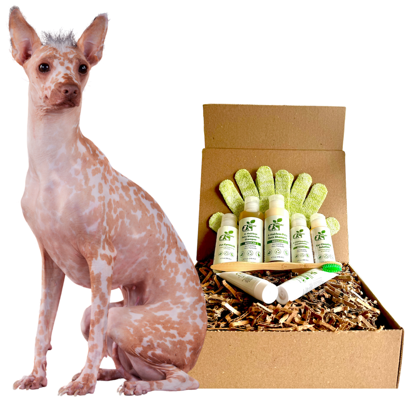 ReNewedPet Dog Grooming Products for Sensitive Skin in a Brown Box with Green Accessories