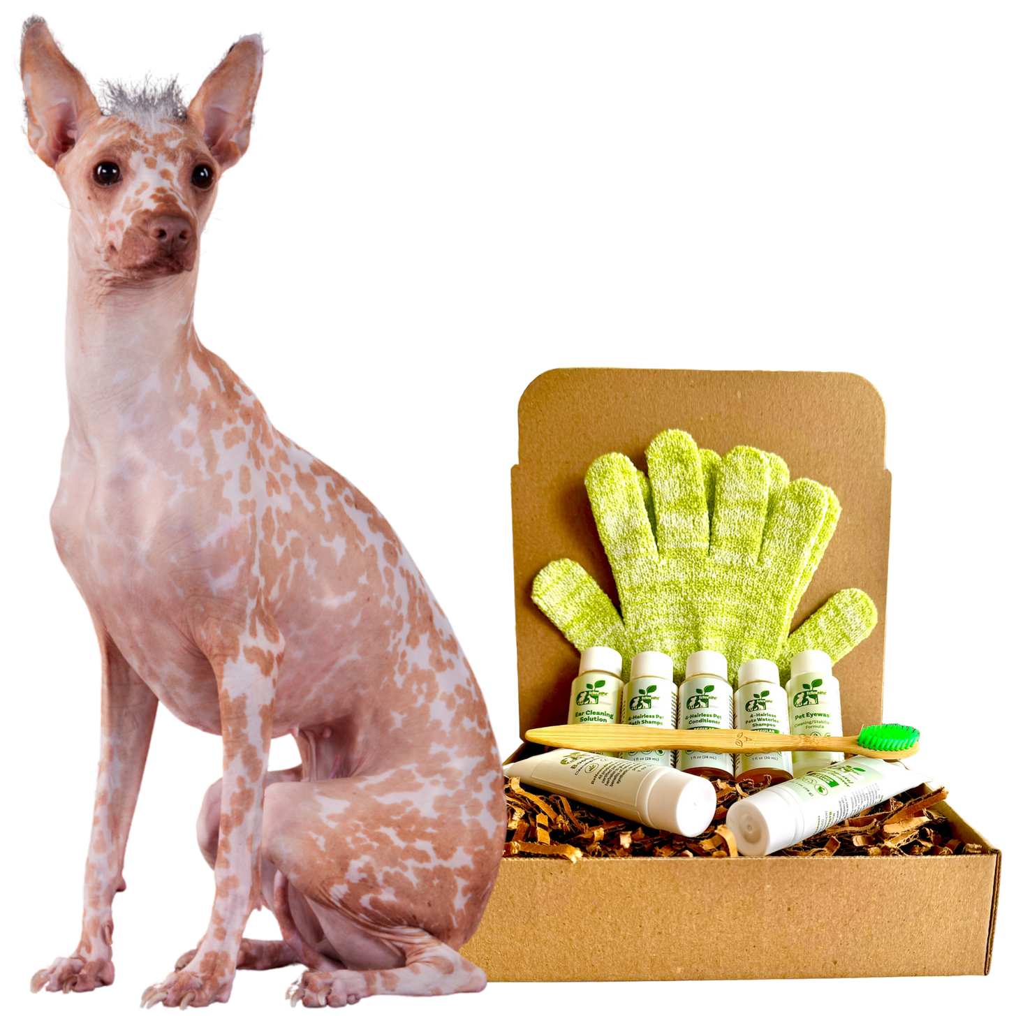 ReNewedPet Dog Grooming Products for Sensitive Skin including conditioner, gloves, and grooming tools