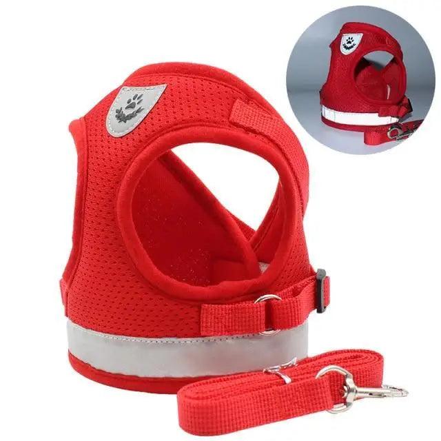 Dog Harness and Leash Set For  Small Medium Dogs Nylon Mesh Puppy