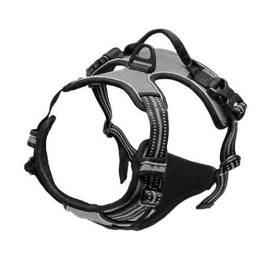 Purrfect Pet Kingdom Dog Harness for Active Dogs - No-Pull, Adjustable M Grey Purrfect Pet Kingdom