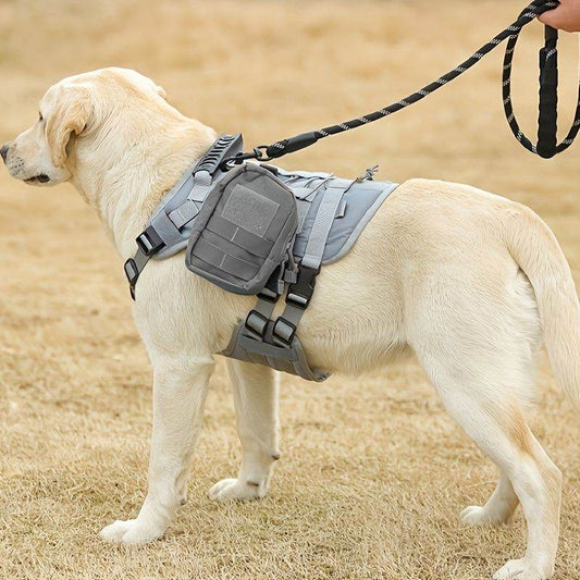 Light-colored dog wearing a gray adjustable no-pull dog harness by Purrfect Pet Kingdom with leash attached