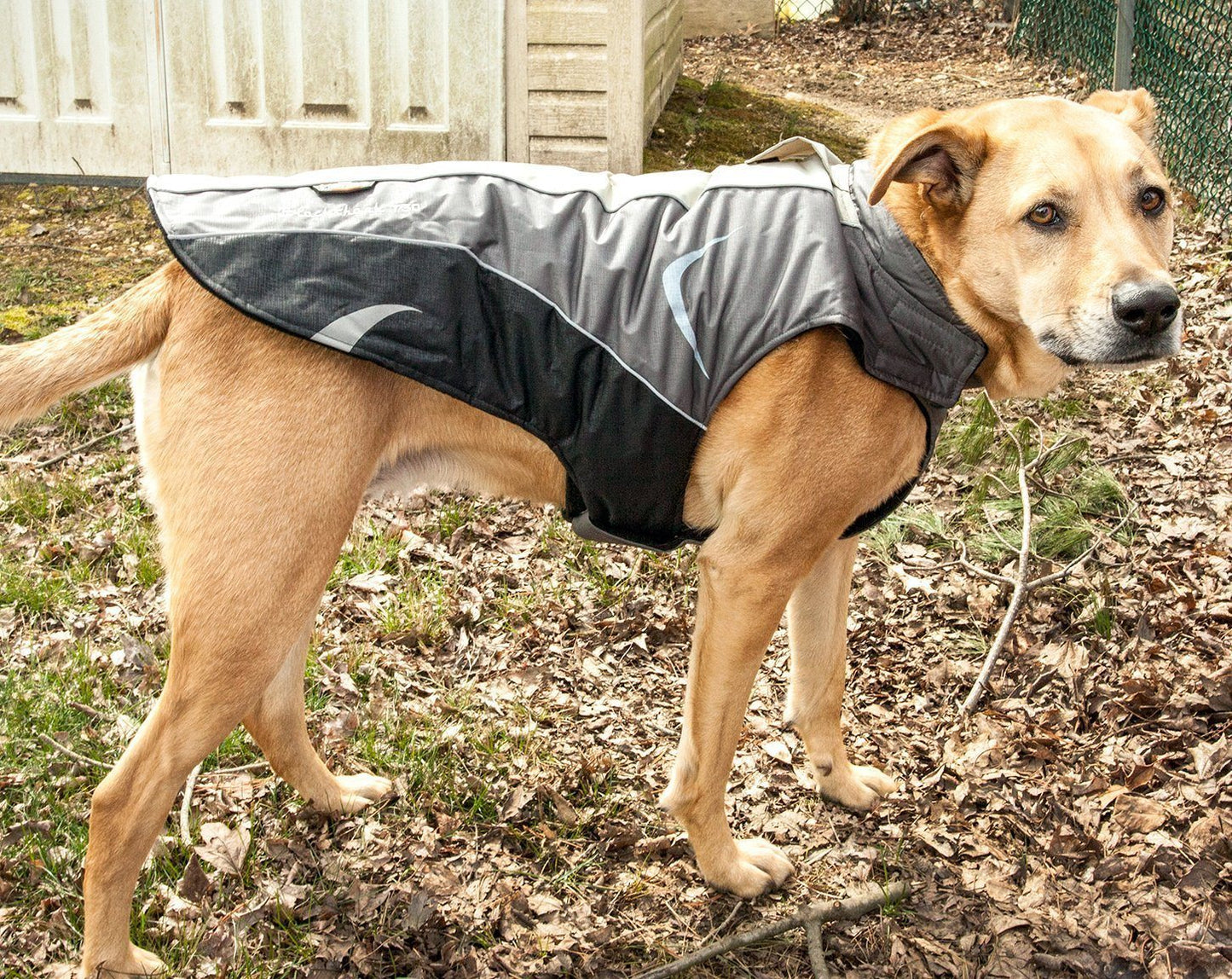 Dog Helios ® Altitude-Mountaineer Wrap-Hook-and-Loop Waterproof Dog Coat