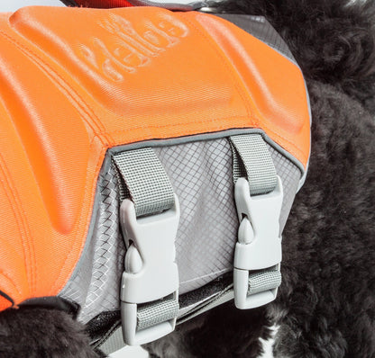Dog Helios ® 'Tidal Guard' Multi-Point