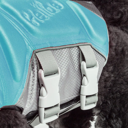 Dog Helios ® 'Tidal Guard' Multi-Point