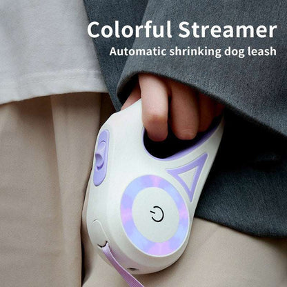 Dog Leash Retractable Leash And Dog Collar Spotlight