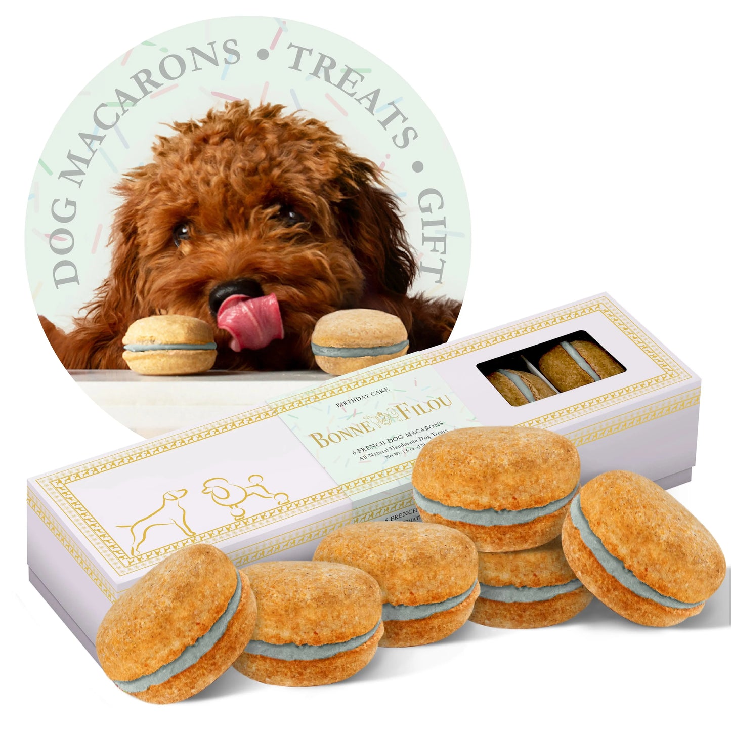 Dog Macarons (Box of 6) | Purrfect Pet Kingdom
