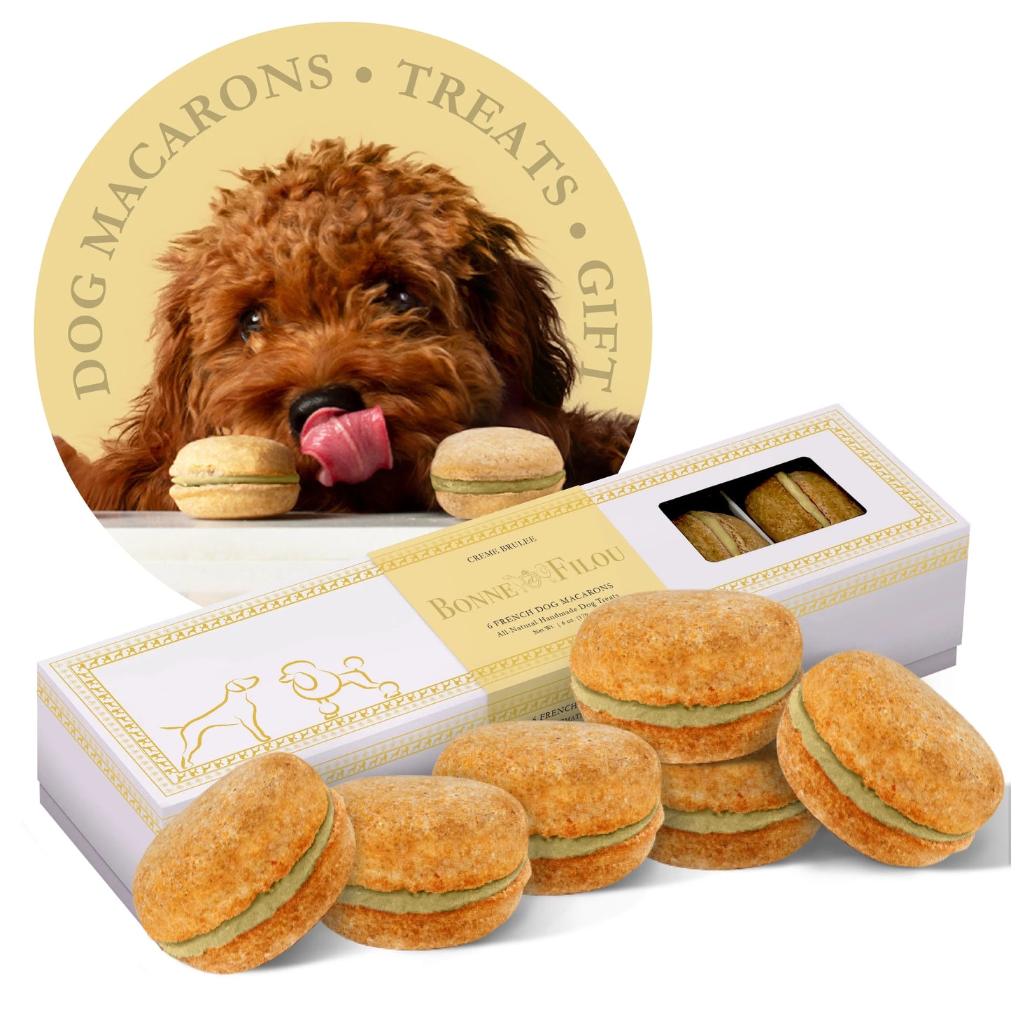 Dog Macarons (Box of 6) | Purrfect Pet Kingdom
