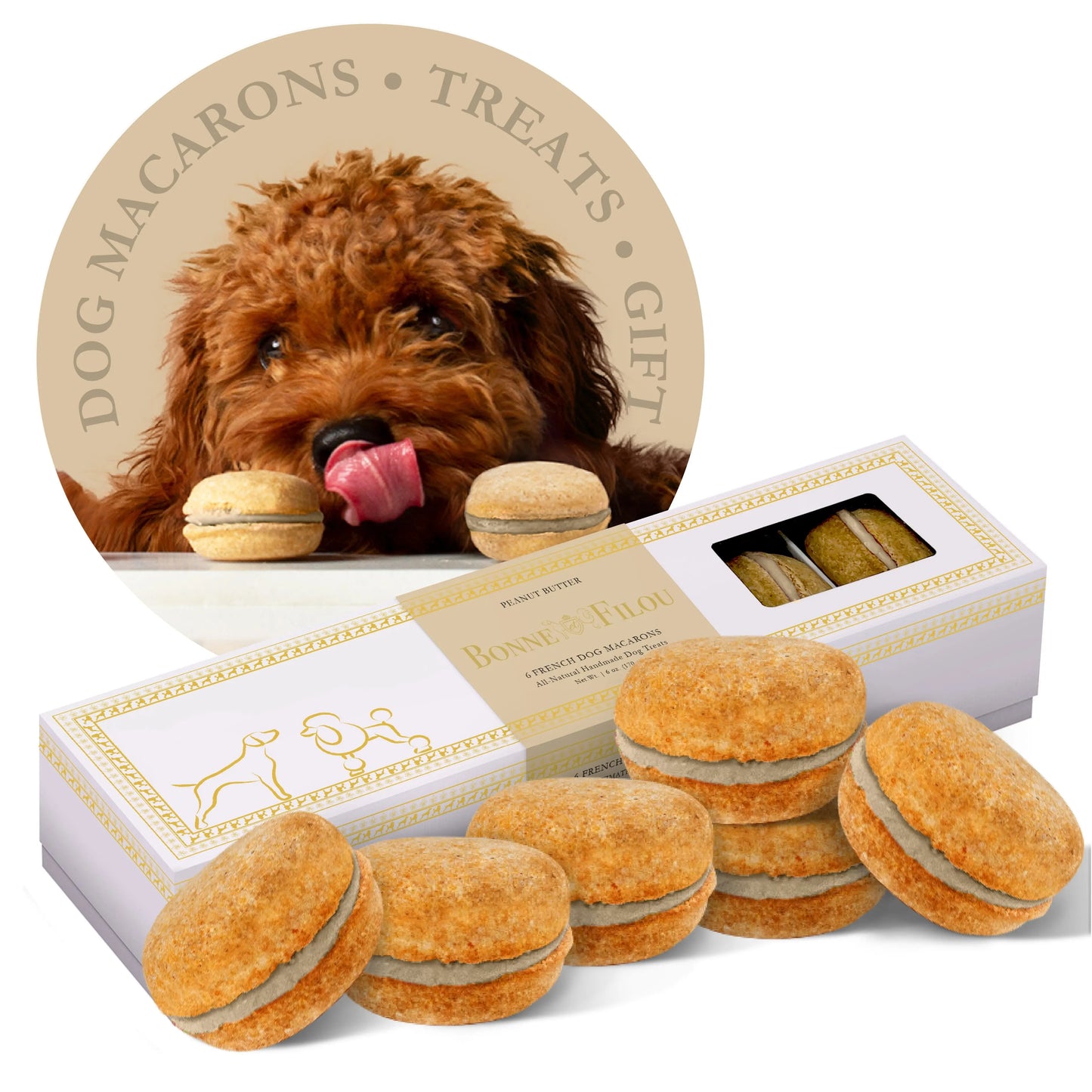Dog Macarons (Box of 6) | Purrfect Pet Kingdom