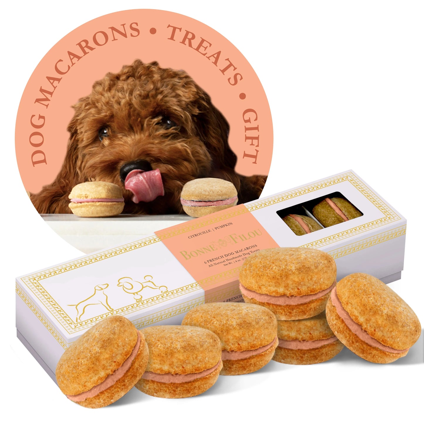 Dog Macarons (Box of 6) | Purrfect Pet Kingdom