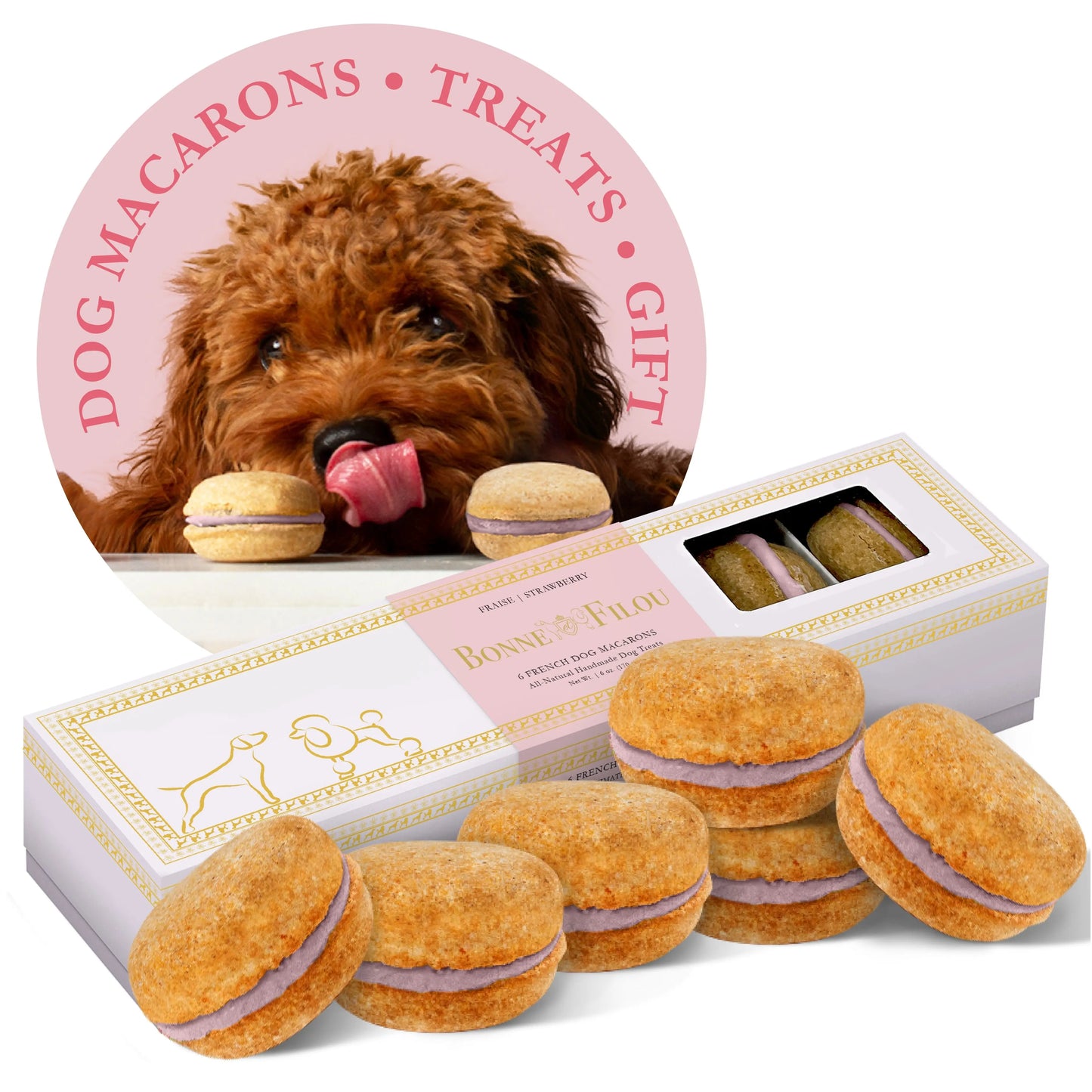 Dog Macarons (Box of 6) | Purrfect Pet Kingdom