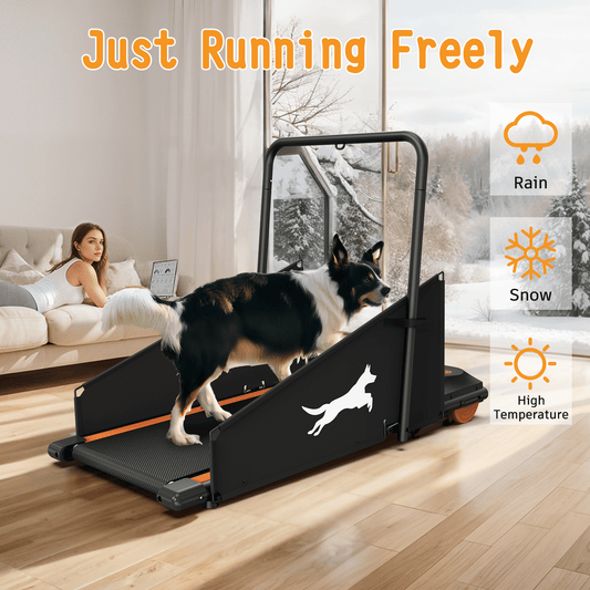 Purrfect Pet Kingdom Dog Pacer Treadmill for Home Purrfect Pet Kingdom
