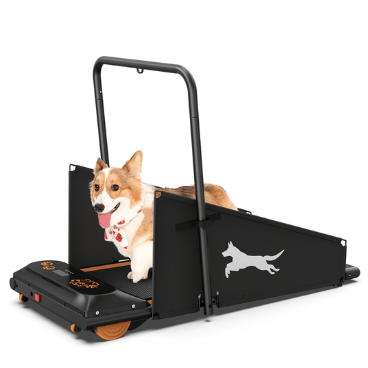 Purrfect Pet Kingdom Dog Pacer Treadmill for Home as Pic Purrfect Pet Kingdom