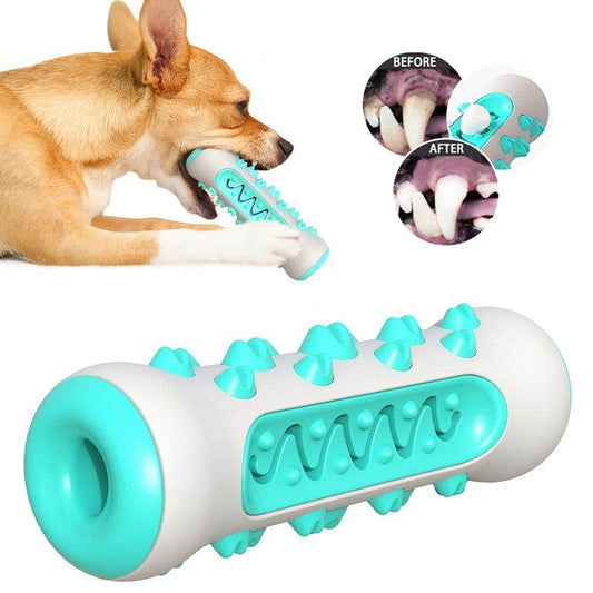 Purrfect Pet Kingdom Durable Dog Teeth Cleaning Toy Purrfect Pet Kingdom