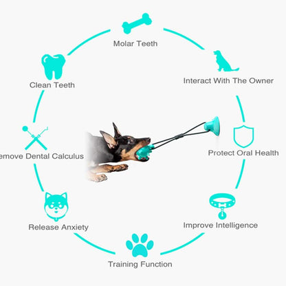 Dog Toys Silicon Suction Cup
