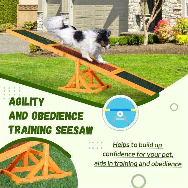 Purrfect Pet Kingdom Dog Training Agility Equipment Purrfect Pet Kingdom
