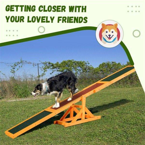 Purrfect Pet Kingdom Dog Training Agility Equipment as picture Purrfect Pet Kingdom