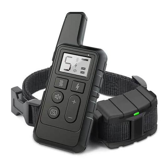 Dog Training Shock Collar