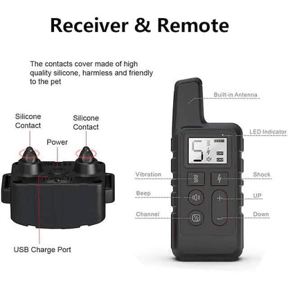 Dog Training Shock Collar