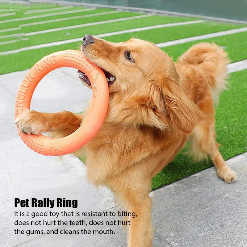Interactive Berry Charmz dog training toy, outdoor floating flying disc, available in red, orange, and green, 18cm size.