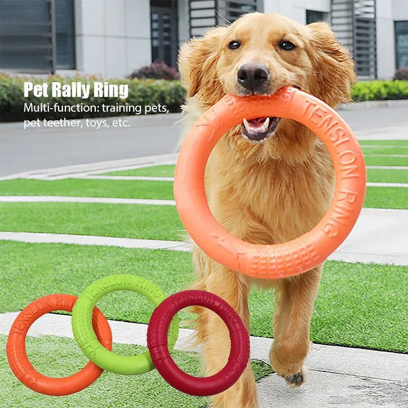 Interactive Berry Charmz dog training toy, outdoor floating flying disc, available in red, orange, and green, 18cm size.