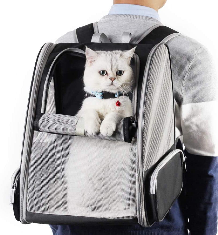 Purrfect Pet Kingdom dog travel bubble backpack with mesh design for comfortable pet transportation